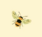 Biene