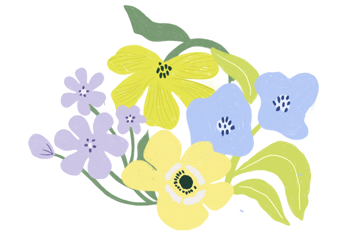 Giesskanne-Kontakt-header