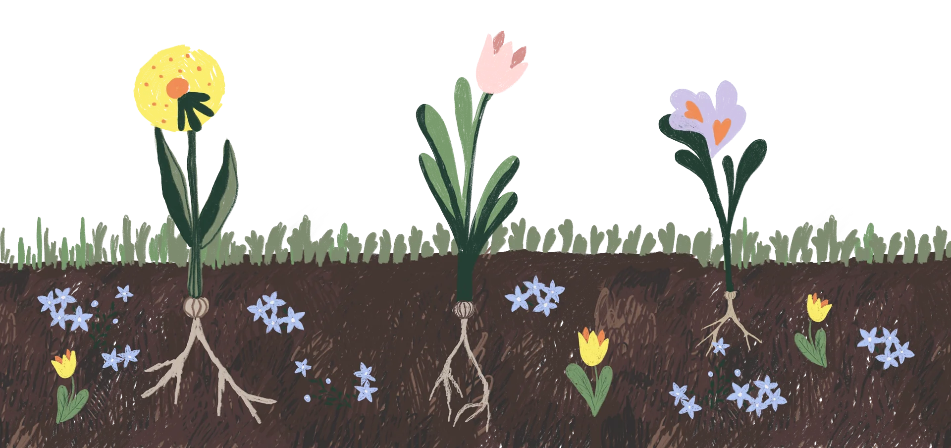 Illustration von Blumen und Garten im Footer